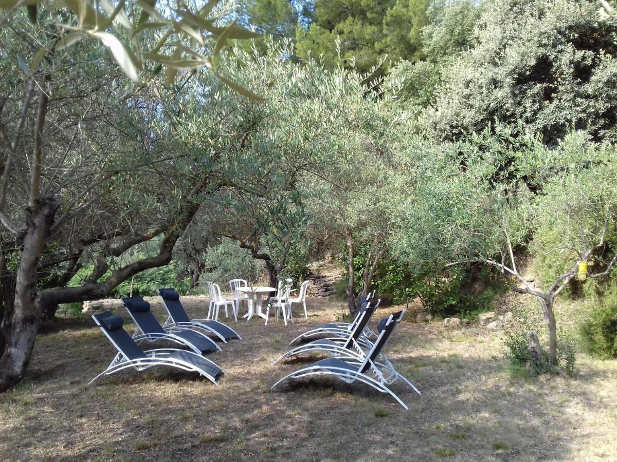 Du Domaine De L'arbre De Vie Saint-Chamas