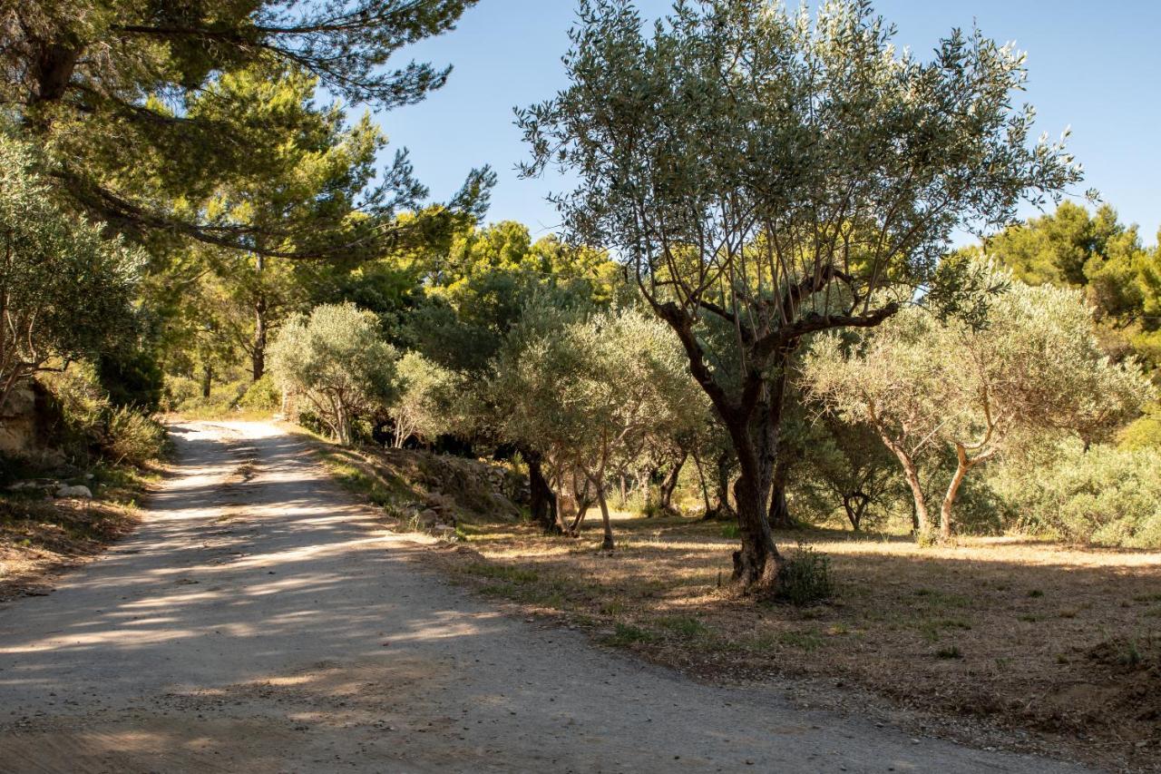 Du Domaine De L'arbre De Vie