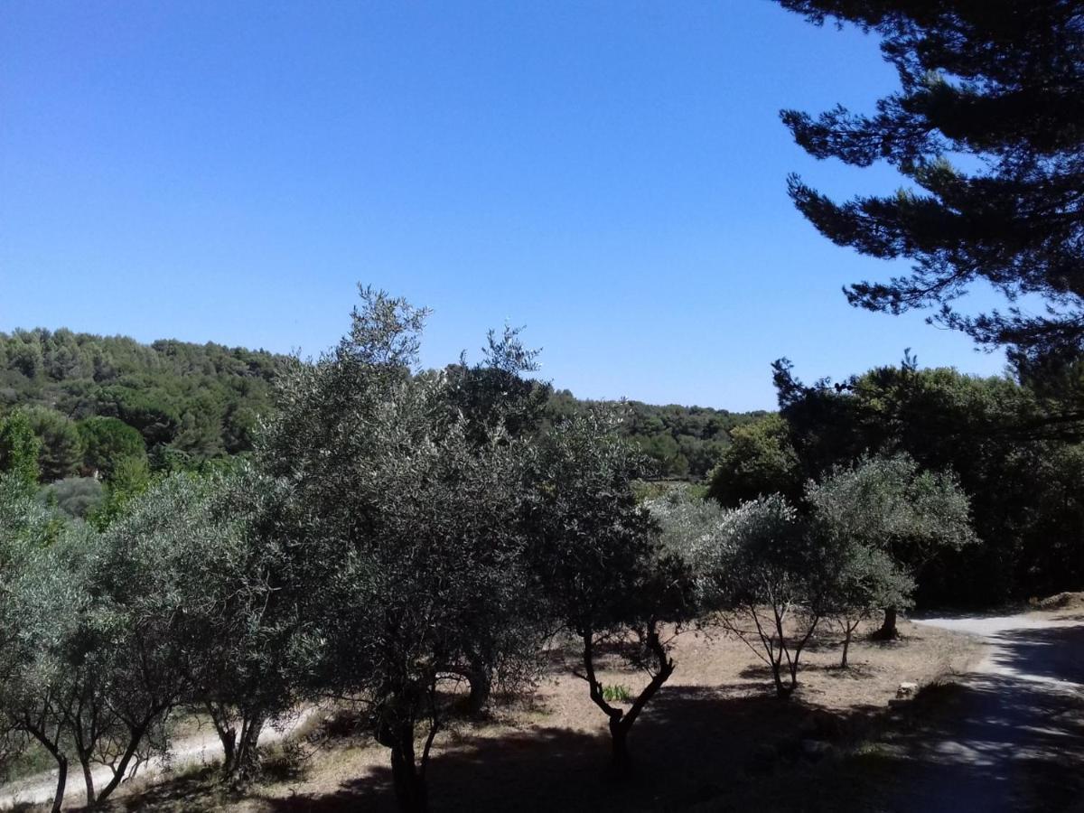 Du Domaine De L'arbre De Vie *