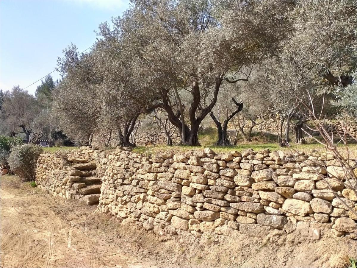 Du Domaine De L'arbre De Vie *