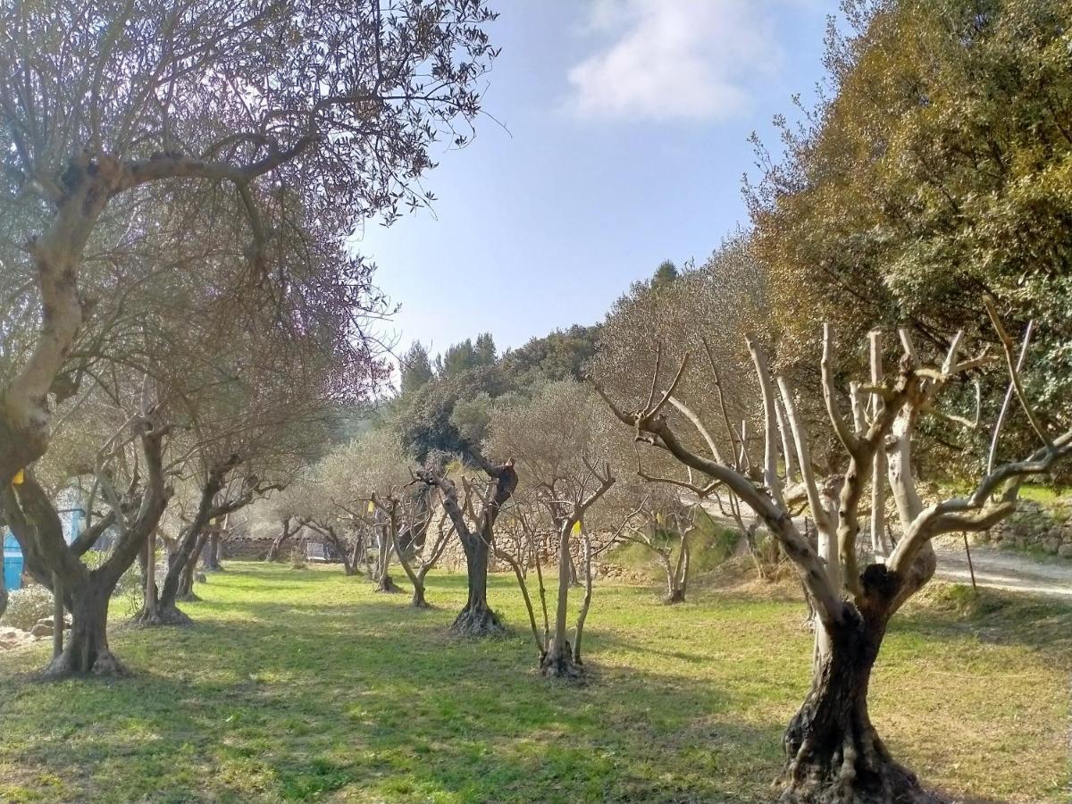 Du Domaine De L'arbre De Vie Holiday home *